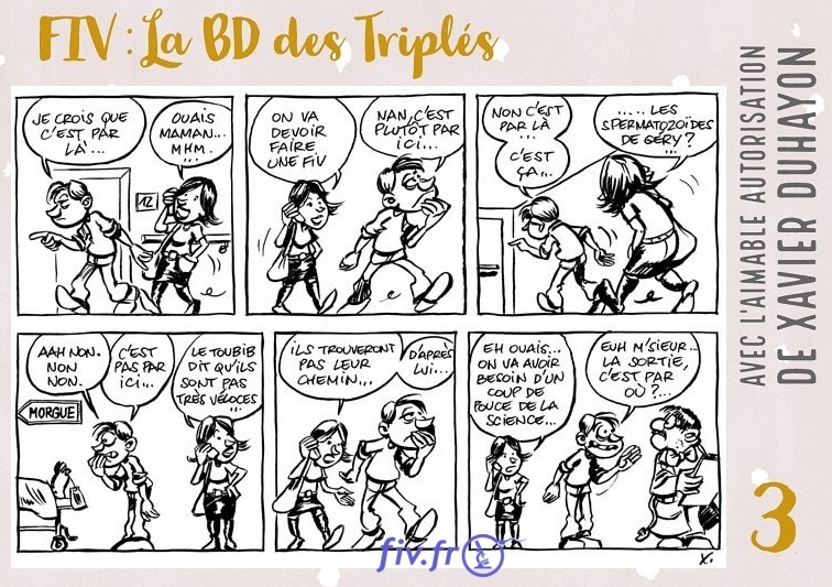 Strip 3 Bande Dessinée sur la PMA et la FIV 