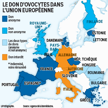 carte don ovocyte