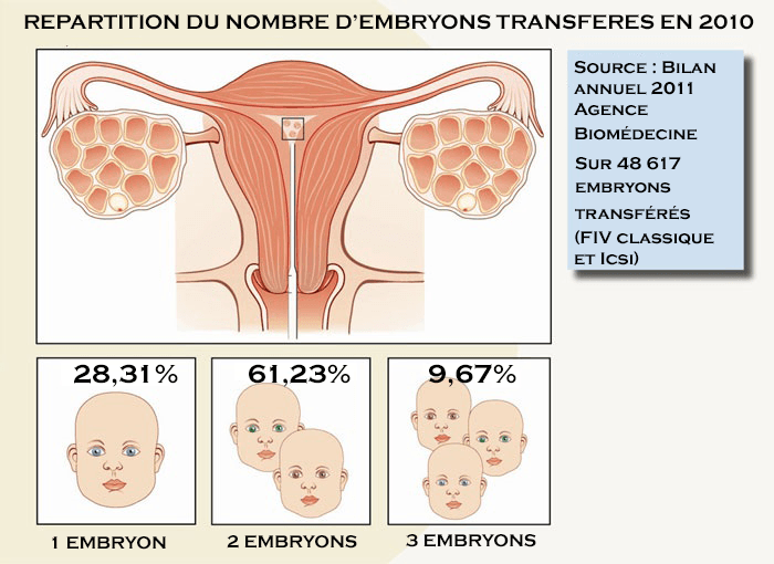 embryons-transferes