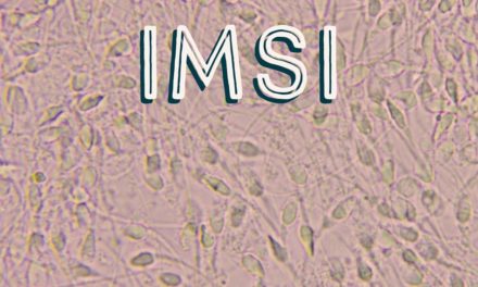IMSI