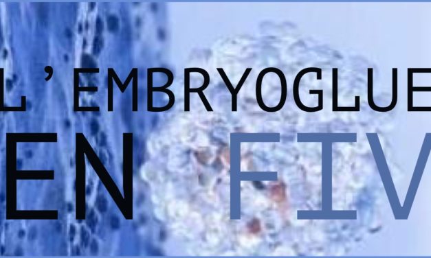 Embryoglue en FIV