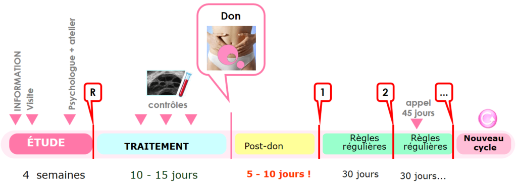 processus-don-ovocytes-eugin