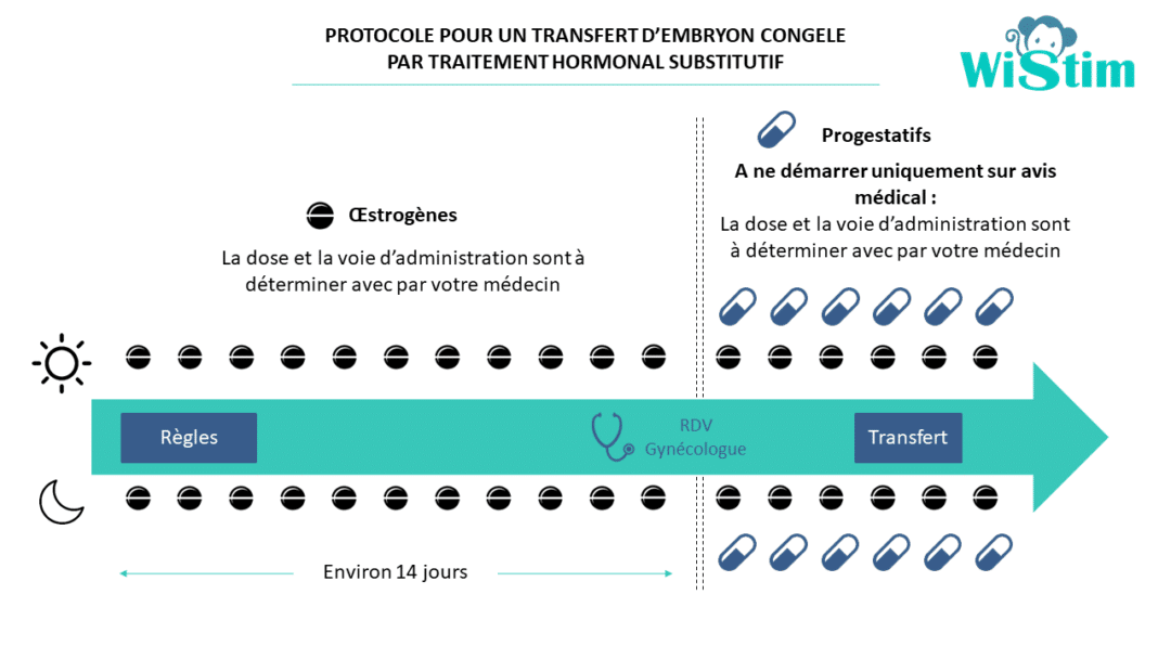 Le transfert d’embryons congelés TEC • Fiv.fr