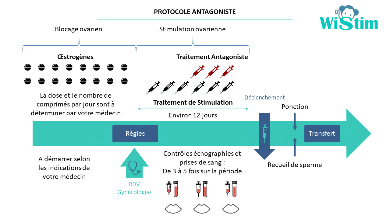 Le protocole court FIV