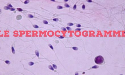 Le spermocytogramme