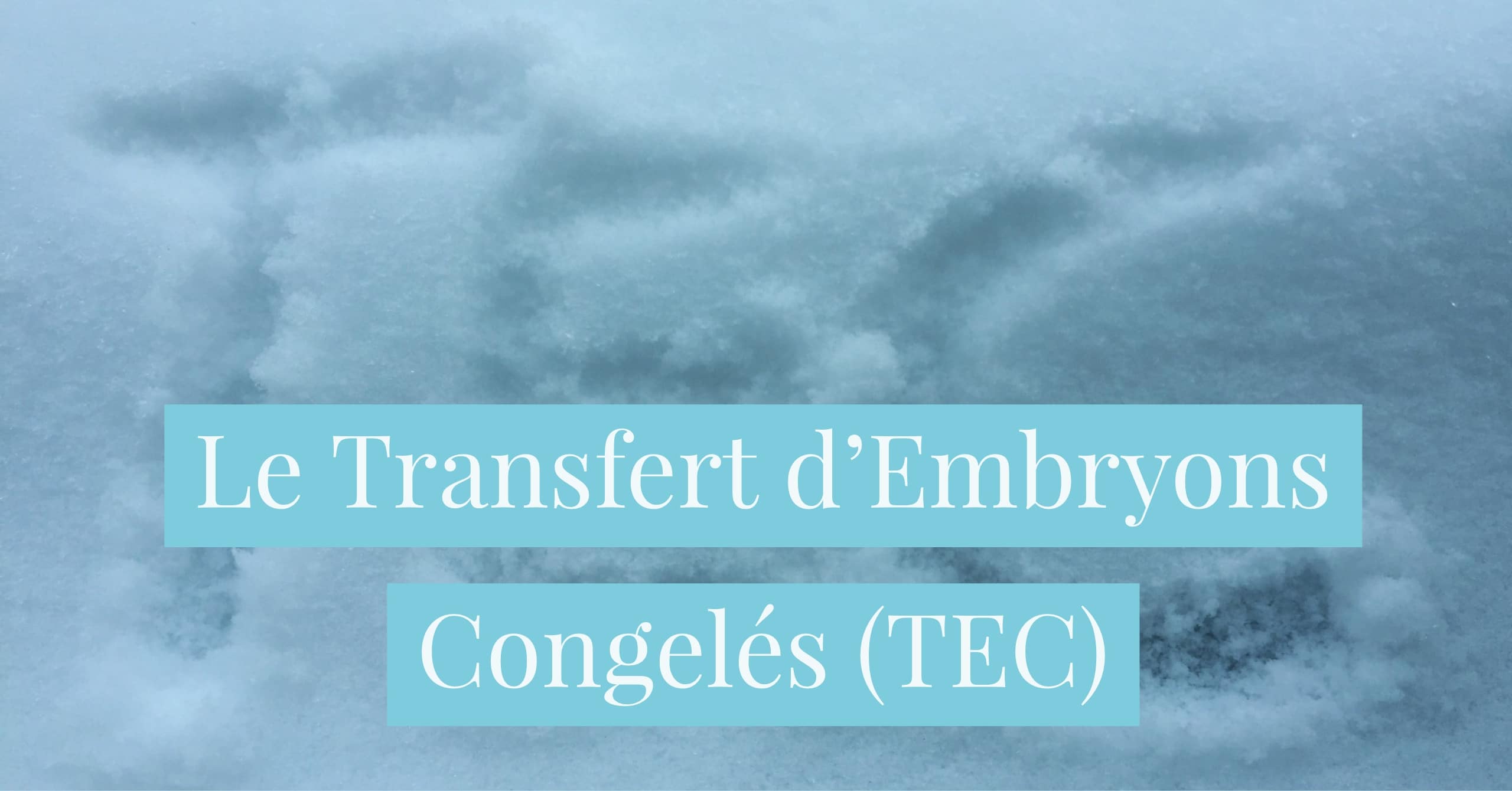 Transfert Embryon Le transfert d’embryons congelés TEC • Fiv.fr