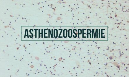 Asthénozoospermie (asthénospermie)