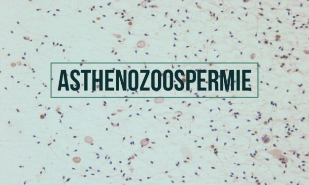 Asthénozoospermie (asthénospermie)