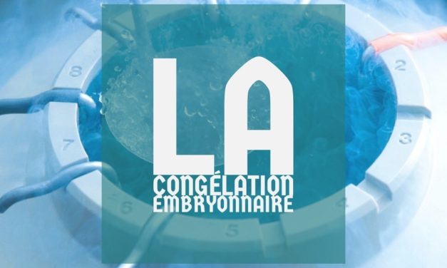 La congélation embryonnaire