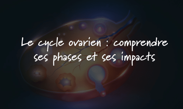 Le cycle ovarien : comprendre ses phases et ses impacts