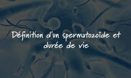 Définition d’un spermatozoïde et durée de vie