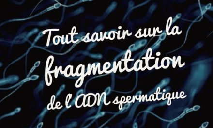 Tout savoir sur la fragmentation de l’ADN spermatique