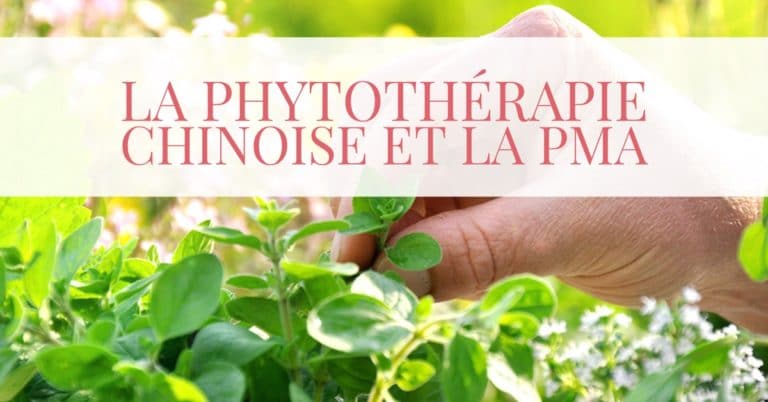 La phytothérapie chinoise et la PMA