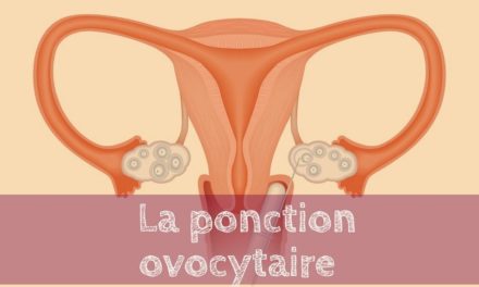 La ponction ovocytaire