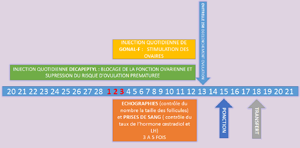 Le protocole long