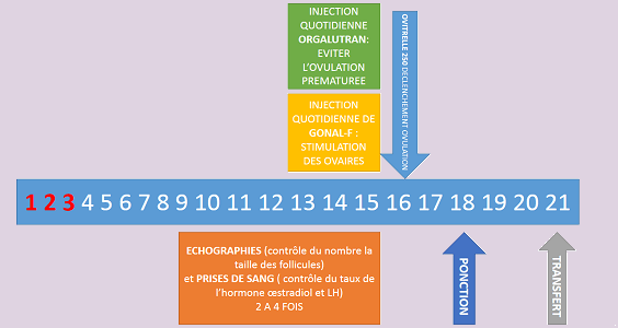 Le protocole sur cycle naturel