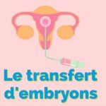 Le transfert d’embryons