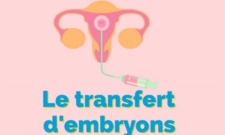 Le transfert d’embryons