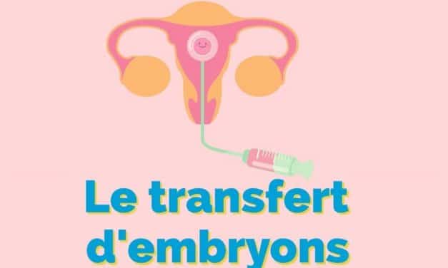 Le transfert d’embryons