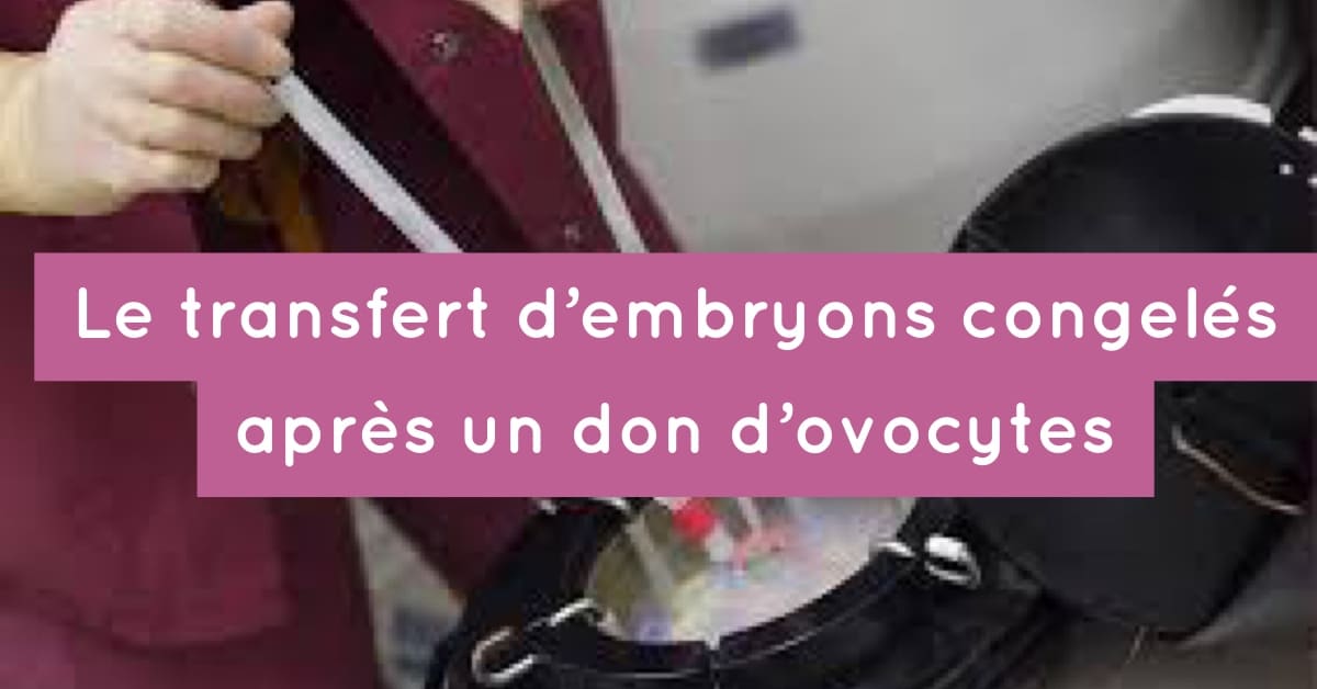 Le transfert d'embryons congelés (TEC) après un don d'ovocytes • Fiv.fr Le transfert d'embryons congelés (TEC) après un don d'ovocytes • Fiv.fr