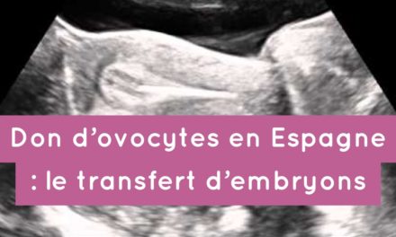 Don d’ovocytes en Espagne : le transfert des embryons