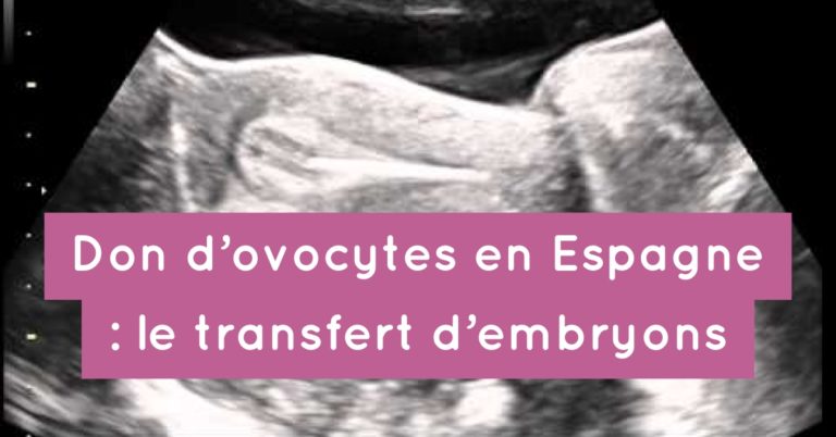 Don d'ovocytes en Espagne : le transfert des embryons