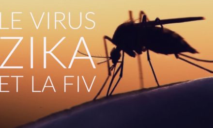 Le virus Zika et la FIV